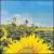 Joy and Gladness von Gloriae Dei Cantores