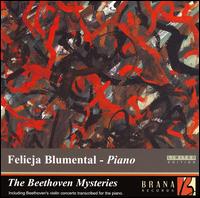 The Beethoven Mysteries von Felicja Blumental