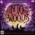 Into the Woods [includes Accompaniment CD] von Cast Recording