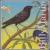 Billy Martin: Starlings von Billy Martin