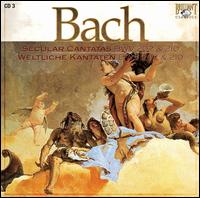 Bach: Secular Cantatas, BWV 202 & 210 von Peter Schreier