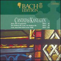 Bach Edition: Cantatas, BWV 41, 29, 120 von Pieter Jan Leusink