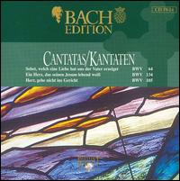 Bach Edition: Cantatas, Vol. 4, CD 24 von Pieter Jan Leusink