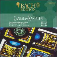 Bach Edition: Cantatas, BWV 36, 184, 129 von Pieter Jan Leusink