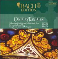 Bach Edition: Cantatas, BWV 136, 187, 49 von Pieter Jan Leusink