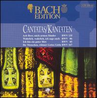 Bach Edition: Cantatas, BWV 135, 86, 85, 167 von Pieter Jan Leusink