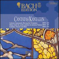 Bach Edition: Cantatas, BWV 123, 87, 173 von Pieter Jan Leusink