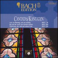 Bach Edition: Cantatas, BWV 26, 164, 139 von Pieter Jan Leusink