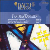 Bach Edition: Cantatas, BWV 103, 185, 2 von Pieter Jan Leusink