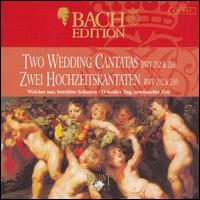 Bach Edition: Two Wedding Cantatas BWV 102 & 210 von Peter Schreier