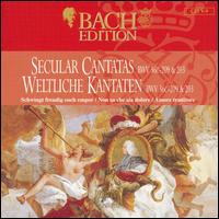 Bach Edition: Secular Cantatas BWV 36c, 209, 203 von Peter Schreier