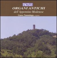 Organi antichi dell'Appennino Modenese von Liuwe Tamminga