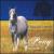 Howard Hersh: The Pony Concerto - Chamber Music, 2000-2005 von Various Artists