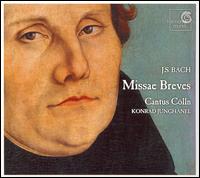 Bach: Missae Brevis von Cantus Cölln