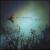 On Wings of Song von Greg Anderson