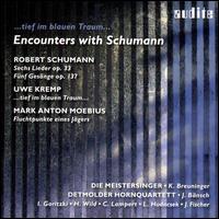 Encounters with Robert Schumann von Various Artists