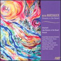 Maria Warshauer: Streams in the Desert von Kirk Trevor