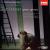 Britten: Peter Grimes [DVD Video] von Franz Welser-Möst