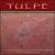 Tulpe von Dawn Avery