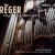 Reger: Orgelwerke größten Styls von Stefan Schmidt