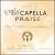 Ahh Cappella Praise von Various Artists