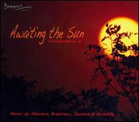 Awaiting the Sun von Various Artists
