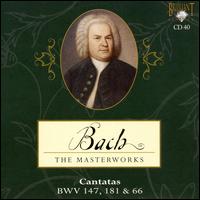 Bach: Cantatas, BWV 147, 181, 66 von Pieter Jan Leusink