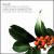 Christmas Classics von Hallé