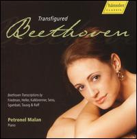 Transfigured Beethoven von Petronel Malan