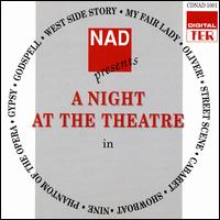 A Night at the Theatre von Various Artists