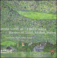 A Journey with Strauss, Schubert & Brahms von Various Artists