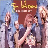 Hey Jealousy [Single] von Gin Blossoms