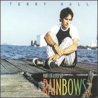 Rainbows von Terry Hall