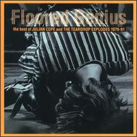 Floored Genius: The Best of Julian Cope and the Teardrop Explodes 1979-1991 von Julian Cope