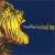 Bacchanal Time von Superblue