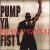 Pump Ya Fist: Hip-Hop Inspired by the Black Panthers von Various Artists