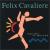 Dreams in Motion von Felix Cavaliere