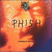 Picture of Nectar von Phish