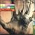 Dig? von Bill Bruford