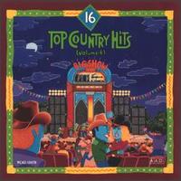 16 Top Country Hits, Vol. 4 von Various Artists