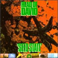 Seed State von Head of David