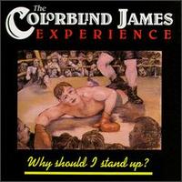 Why Should I Stand Up? von Colorblind James Experience