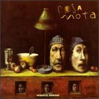 Wishful Sinking von Rosa Mota