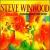 Talking Back to the Night von Steve Winwood