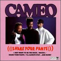 Shake Your Pants von Cameo