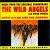 Wild Angels and Other Themes von Davie Allan