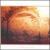 Selected Ambient Works, Vol. 2 von Aphex Twin