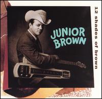 12 Shades of Brown von Junior Brown