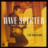 Blueplicity von Dave Specter