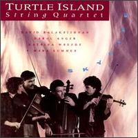 Skylife von Turtle Island String Quartet